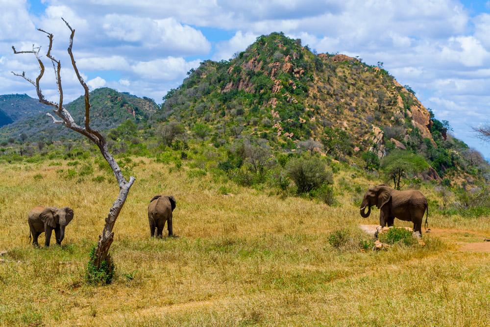 Ngulia Safari Lodge Tsavo Zewnętrze zdjęcie