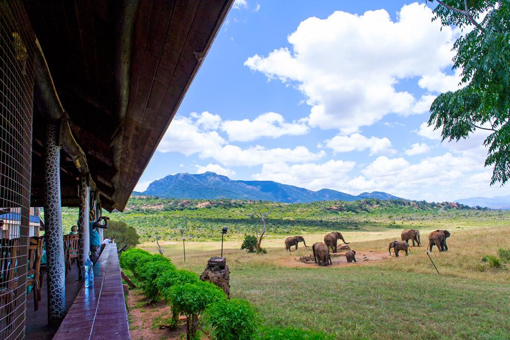 Ngulia Safari Lodge Tsavo Zewnętrze zdjęcie