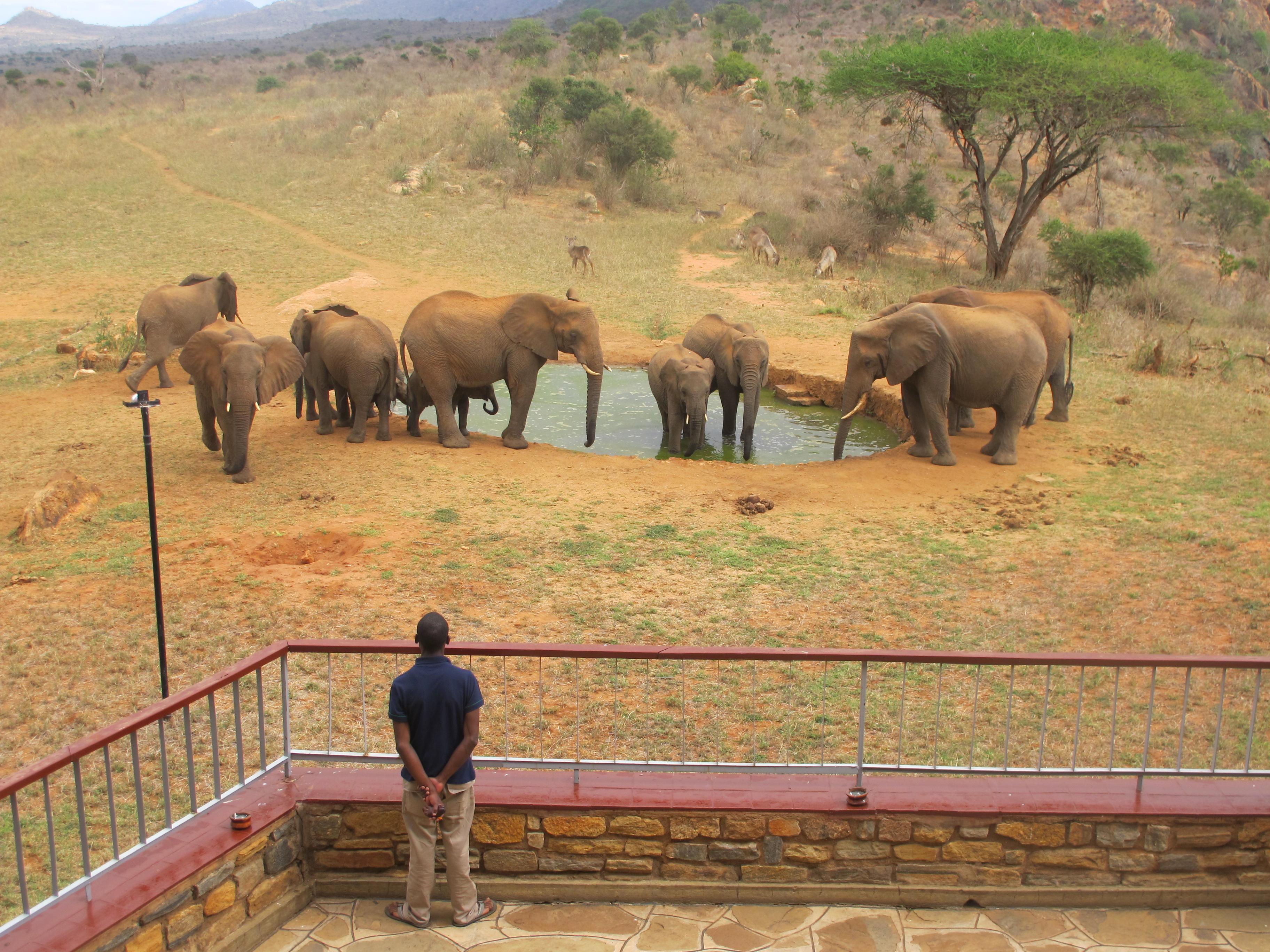 Ngulia Safari Lodge Tsavo Zewnętrze zdjęcie